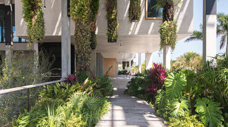 The Small Garden – Design Ideas